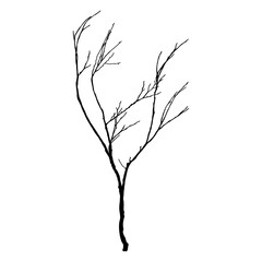 Black Branch Tree or Naked trees silhouettes. Hand drawn isolated illustrations.