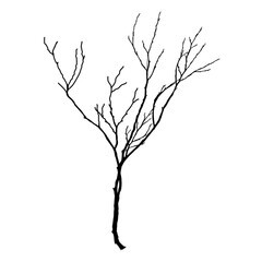 Black Branch Tree or Naked trees silhouettes. Hand drawn isolated illustrations.