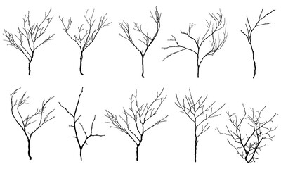 Black Branch Tree or Naked trees silhouettes set. Hand drawn isolated illustrations.