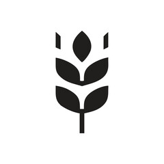 Grain Wheat Crops Vector Icon, Grain icon