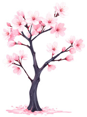 Fototapeta premium Cherry blossom tree hand drawn paint art illustration painting isolated white background transparent png