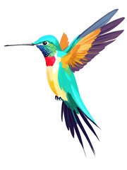 Hummingbird hand drawn paint art illustration painting isolated white background transparent png