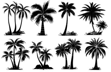Obraz premium Palm tree set silhouettes in black color isolated on a white background