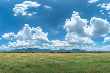 Obraz premium serene blue sky panorama adorned with fluffy white clouds