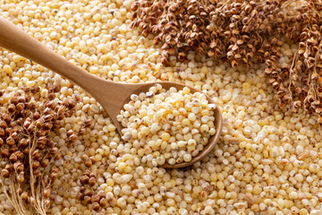 close up a spoonful of sorghum grains on a pile of sorghum grains