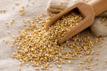 a spoon of quinoa seeds on the linen