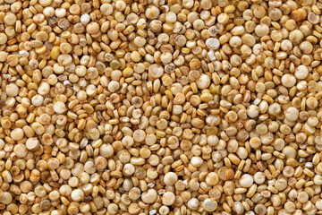 close up of quinoa seeds