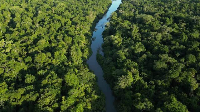 Aerial view of the Amazon rivers of the Peruvian jungle, a drone view of the Amazon rainforest surrounded by water