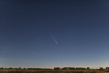 A comet in the fall sky at dusk