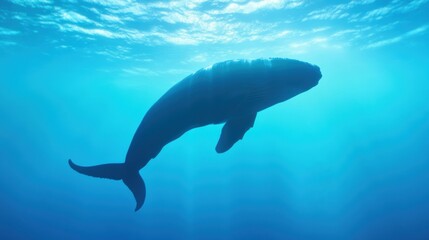 Majestic Whale Silhouette Gliding Through Tranquil Blue Waters