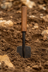 Garden trowel resting in rich soil