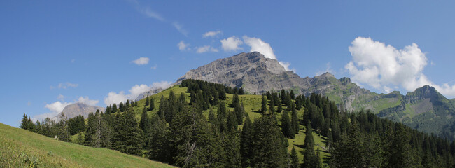 Forest Hill Against Mountain Peak