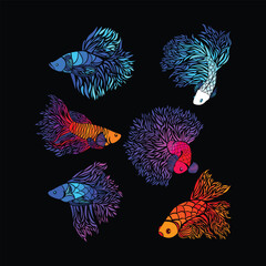 Fototapeta premium Betta Fish Ornamental Decorative Vibrant Colored Vector Set Collection