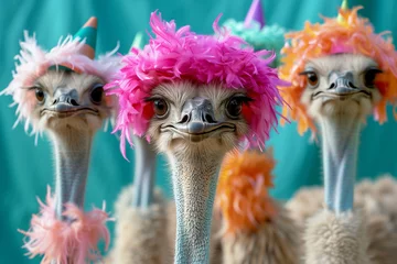 Selbstklebende Fototapeten Playful and Whimsical Portrait of Ostriches Wearing Colorful Party Hats and Feathers © mankjon