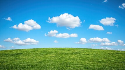 Fototapeta premium A vibrant green grassy hill stretches out against a clear blue sky dotted with fluffy white clouds.