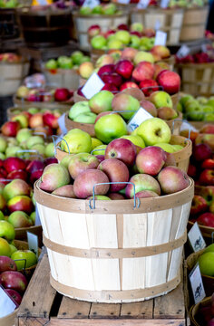 Baskets of beautiful  apples fill bushels with many varieties , n this Michigan farm market 
