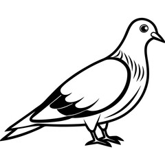 dove of peace