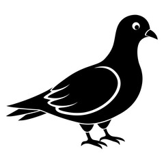 pigeon silhouette vector