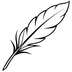 Obraz premium feather