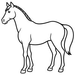 horse illustration