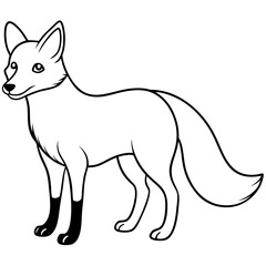 fox cartoon illustration
