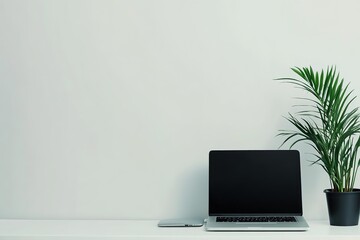 Fototapeta premium A clean workspace with a single plant and a laptop on a simple desk.