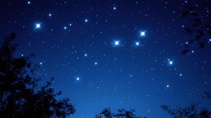 A deep blue night sky with a scattering of bright stars and silhouettes of trees at the bottom of the frame.