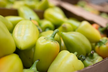 Many fresh green organic pepper in box on farmers market
