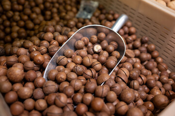 A pile of macadamia nuts on the supermarket counter. The scoop for the set of nuts lies on top of the nuts. Environmental products