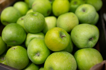 A pile of green apples in the supermarket. Agriculture. Eco-friendly product