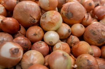 A pile of onions on the counter of a hypermarket. Eco-friendly products