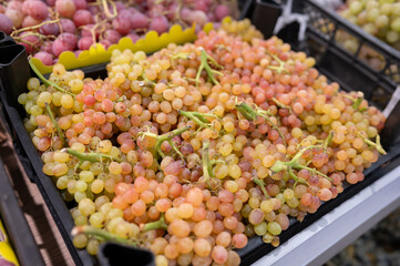 A pile of pink Kish-Mish grapes on the store counter. Agriculture, eco-friendly products