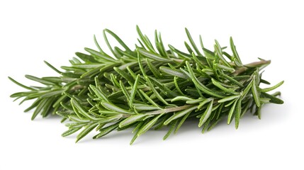 Fototapeta premium Rosemary isolated on white background. 