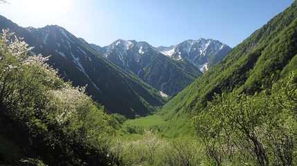 Fototapeta premium A scenic view of a valley surrounded by snow-capped mountains and lush green trees.