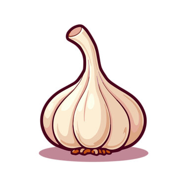 Vector garlic bulb icon for cooking ingredients and flavoring
