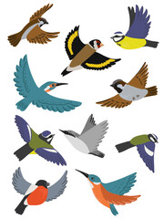 vector drawing set of flying birds, hand drawnillustration, isolated nature design element