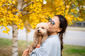 Young Asian woman holding a mini poodle on a background of yellow autumn leaves.