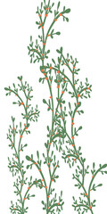 Artistic plants illustration