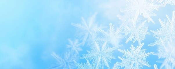 Winter banner with frost and ice patterns on glass, New Year background, winter cold and holidays concept	