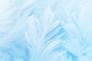 Fototapeta premium Winter banner with frost and ice patterns on glass, New Year background, winter cold and holidays concept 