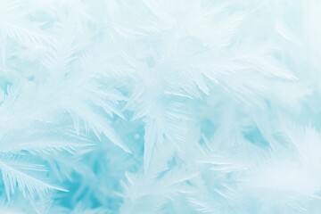 Winter banner with frost and ice patterns on glass, New Year background, winter cold and holidays concept	