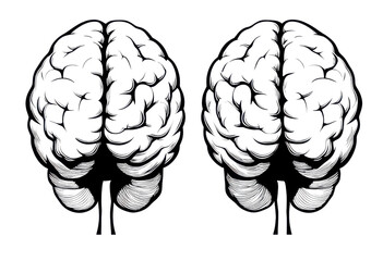 Fototapeta premium Artistic illustration of a human brain
