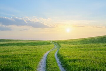 Obraz premium A clear path leading to a sunlit horizon, symbolizing the journey from failure to fulfillment
