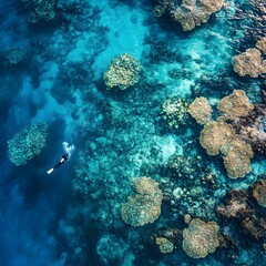 Obraz premium Breathtaking Aerial View of The Vibrant Great Barrier Reef Underwater Ecosystem