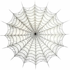 Obraz premium spider web delicately positioned on a clean white background.