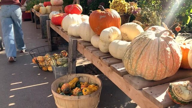 Autumn decoration at the market during the day: pumpkins of different shapes, sizes, and types for sale.