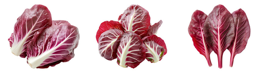 Obraz premium Red radicchio lettuce isolated on transparent PNG background perfect for food blogs or healthy-themed designs