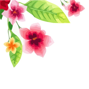 pink Illustrated rose flower Frame