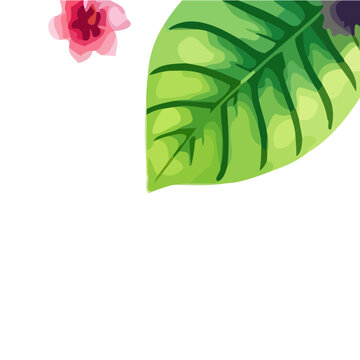 illustration of a green leaf frame