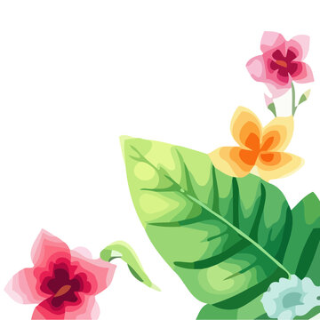 illustration of a flower Frame